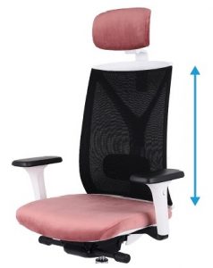 Biuro kėdės atlošas reguliuojamas aukštyn arba žemyn