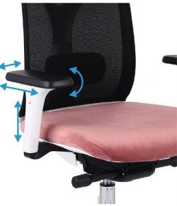 Biuro kėdė su reguliuojamais 4D porankiais