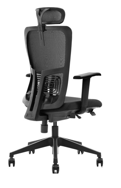 Ergonominė biuro kėdė LUMBAR HD