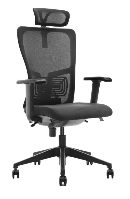 Ergonominė biuro kėdė LUMBAR HD