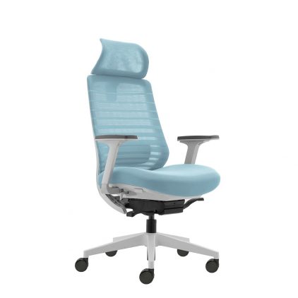 Žydra ergonominė biuro kėdė su reguliuojama juosmens atrama
