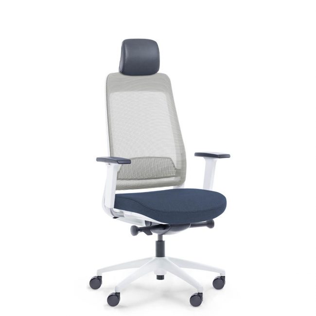 Mėlynos spalvos ergonominė biuro kėdė su reguliuojamais porankiais ir atlošu