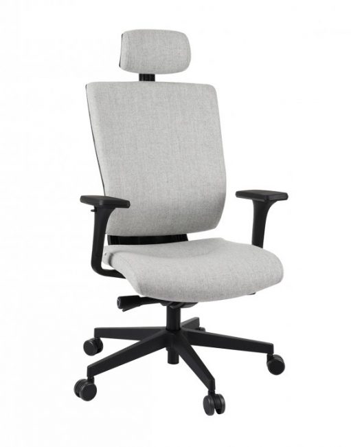 Ergonominė biuro kėdė – MaxPro BT HD