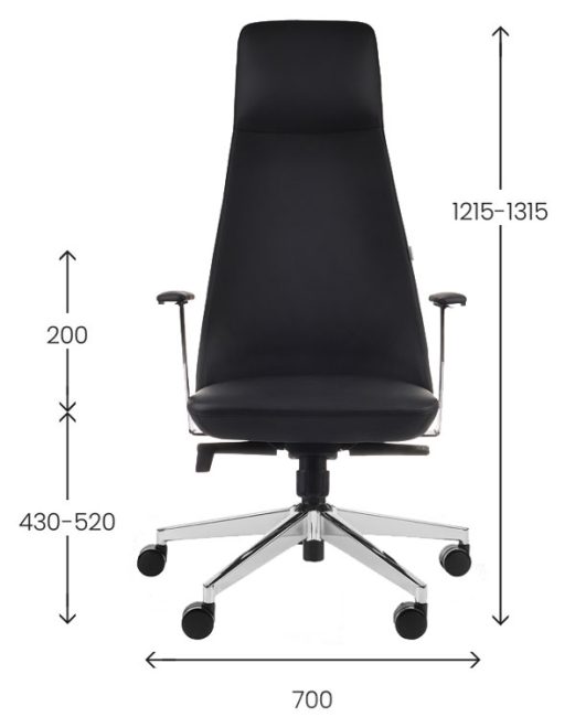 Vadovo biuro kėdė NOZO (odinė)