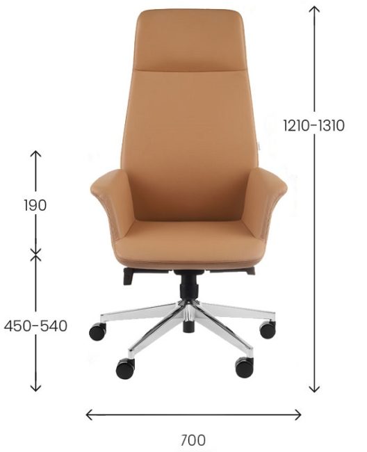 Vadovo biuro kėdė PRETO (odinė)