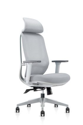 Ergonominė biuro kėdė NOBRIUM V2
