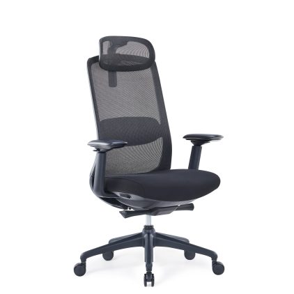 Ergonominė biuro kėdė BRASS V1