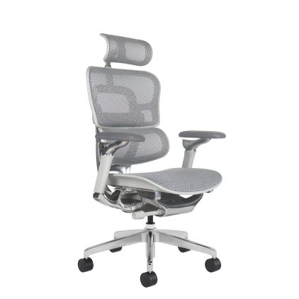 Ergonominė biuro kėdė FLEXI MAX